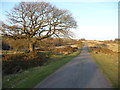 Road on Mynydd Illtud Common