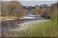 The Ettrick Water, Selkirk