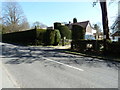 Topiary on the Horsham Road Rusper