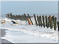 TA4213 : Groynes and remains of fishing nets by Peter Barr
