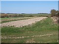 Bare earth strip in field near Broughton