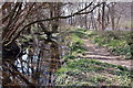 Old mill lade by the Ettrick Water