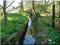 Stream in Morden Park