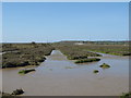 Channels in the marshes