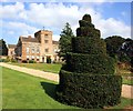 SP5750 : Spiral Bush at Canons Ashby House by Des Blenkinsopp