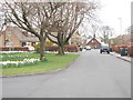 Victoria Close - looking towards Victoria Avenue