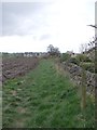 Footpath - end of Moorland Drive