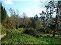 View from bridleway north of Hascombe