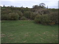 Grazing land near Newton Aycliffe