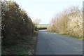 Willoughby Road facing north