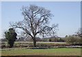 Farmland north-east of Bridgnorth, Shropshire