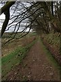 Path on the east side of Neilston Pad