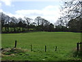 Farmland off Market Lane