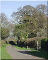 Lane north-east of Bridgnorth, Shropshire