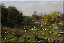 TQ3669 : Allotments between railway lines, north of Beckenham Road by Christopher Hilton