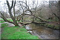 Fallen tree over the River Asker