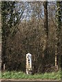 Bow Bells Milestone, Bentley Wood