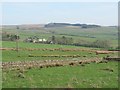 Pastures northwest of Highfield Farm