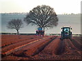 SO6524 : Potato planting near Bromsash 3 by Jonathan Billinger
