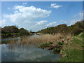 View of the Royal Military Canal from a picnic site on the north bank