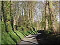 The lane to Hopstone, Shropshire