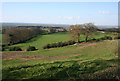 Sloping pasture in Burwardsley