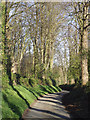 The lane to Hopstone, Shropshire