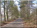 Permissive way along the north side of More Hall Reservoir