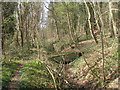 Footbridge in the woods west of Ewden Village