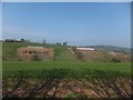 Farm buildings near Cotleigh