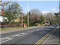 Bin day in Eastcote