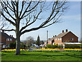 The green and Balmoral Road in Penn, Wolverhampton