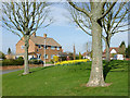 The green on Sandringham Road in Penn, Wolverhampton