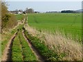 Byway and farmland, Everleigh