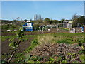 Beverley Community Gardens