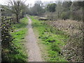 Itchen Way towards Mans Bridge