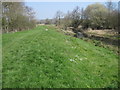 SU4515 : Meadows beside Itchen Way at Motorway Underpass by Chris Wimbush