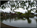 The pond on Feltham Green