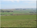 Panorama from Catton Beacon (9: SE)