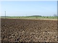 Farmland, High Easton Farm