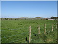 View northwards across cultivated grassland towards Knockiveagh