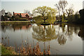 Village pond