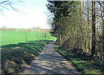 SP0613 : Lane north of Streetfold Wood by Stuart Logan