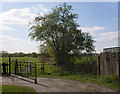 A path off Lovers Lane towards Pickley Green