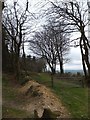 Path and field boundary at White Cross