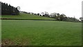 Grassland in Corvedale