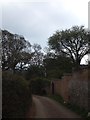 Property wall in Burscombe Lane