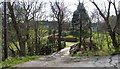 Wooden bridge at Millfaid