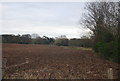 Ploughed field by Station Rd