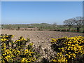 Arable land north of Imdale Cross